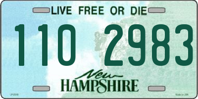 NH license plate 1102983