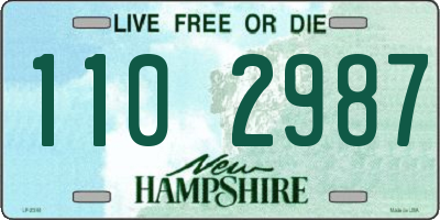 NH license plate 1102987