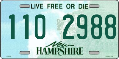 NH license plate 1102988