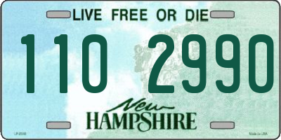 NH license plate 1102990
