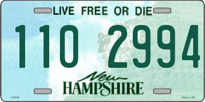 NH license plate 1102994