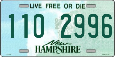 NH license plate 1102996