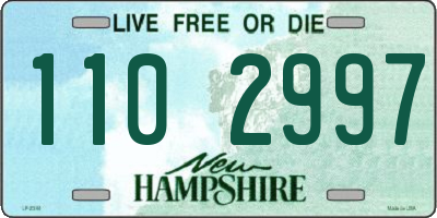 NH license plate 1102997