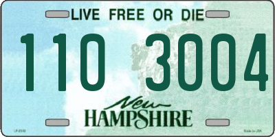 NH license plate 1103004