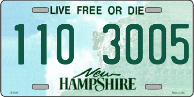 NH license plate 1103005