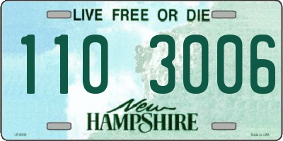 NH license plate 1103006