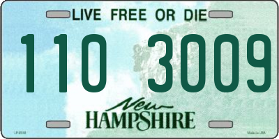 NH license plate 1103009