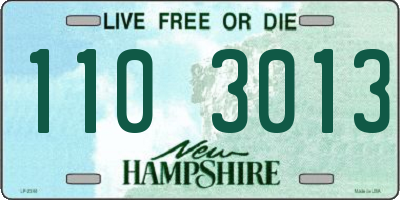 NH license plate 1103013