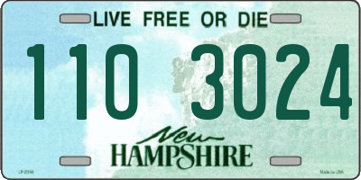NH license plate 1103024