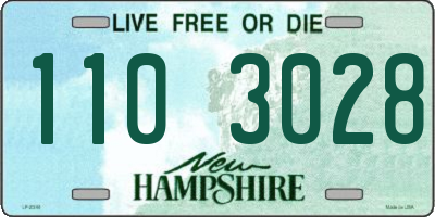NH license plate 1103028