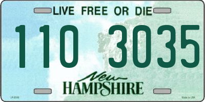 NH license plate 1103035
