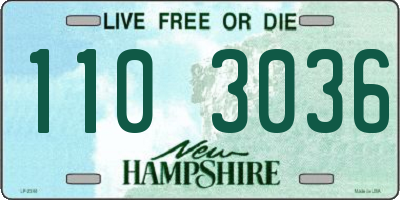 NH license plate 1103036