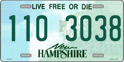 NH license plate 1103038