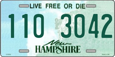 NH license plate 1103042