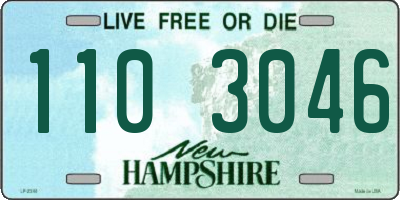 NH license plate 1103046