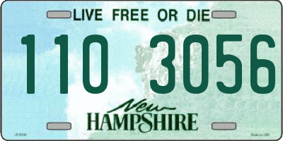 NH license plate 1103056