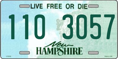 NH license plate 1103057