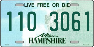 NH license plate 1103061