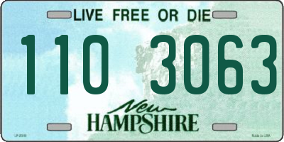 NH license plate 1103063