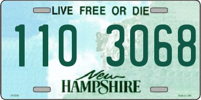 NH license plate 1103068