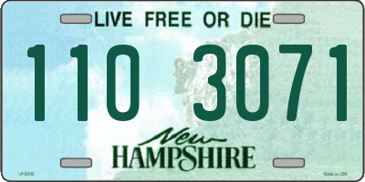 NH license plate 1103071
