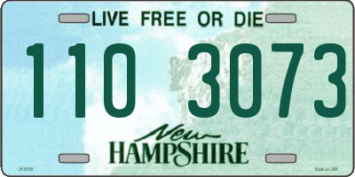 NH license plate 1103073