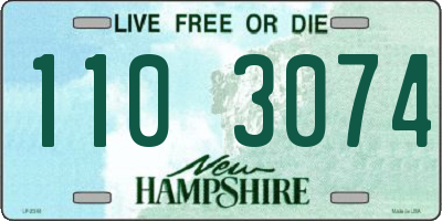 NH license plate 1103074