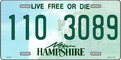 NH license plate 1103089