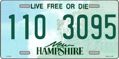 NH license plate 1103095