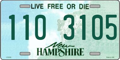 NH license plate 1103105