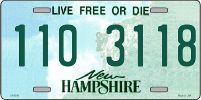 NH license plate 1103118