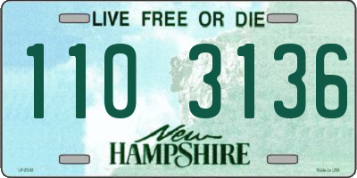NH license plate 1103136