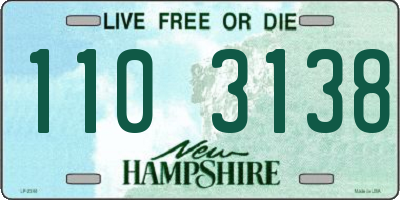NH license plate 1103138