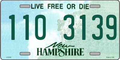 NH license plate 1103139