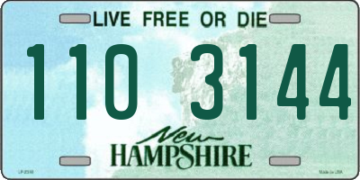 NH license plate 1103144