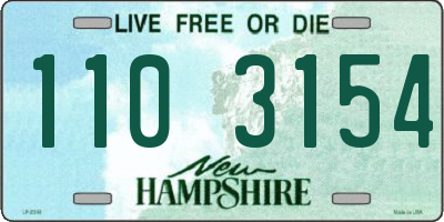 NH license plate 1103154