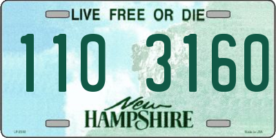 NH license plate 1103160