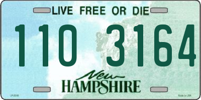 NH license plate 1103164