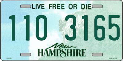 NH license plate 1103165