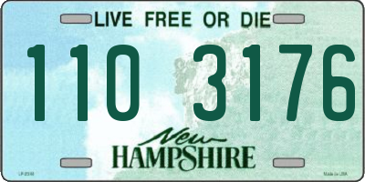 NH license plate 1103176