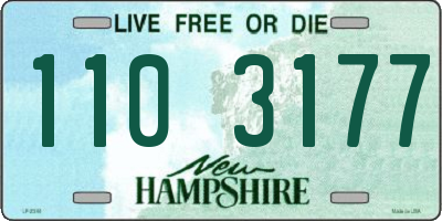 NH license plate 1103177