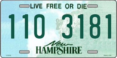 NH license plate 1103181