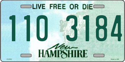 NH license plate 1103184