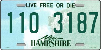 NH license plate 1103187