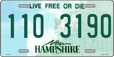 NH license plate 1103190