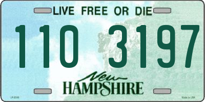 NH license plate 1103197