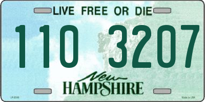 NH license plate 1103207