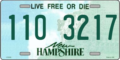 NH license plate 1103217