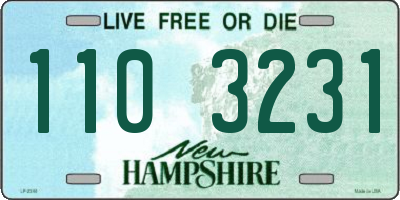 NH license plate 1103231