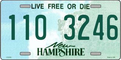 NH license plate 1103246